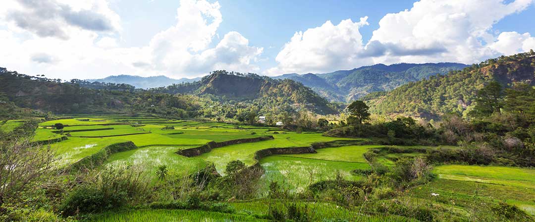 Inheritances such as farm land are divided according to guidelines in Philippine law.