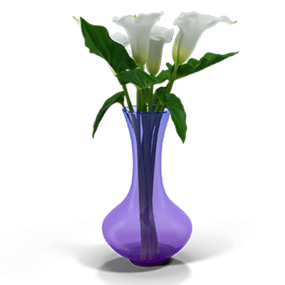 Calla lilies to denote a funeral and the subsequent inheritance process.