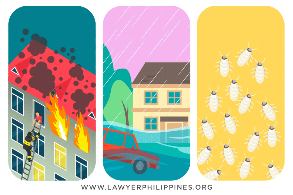 Three images showing a house on fire, a house which is flooded and termites. These are some ways important legal documents may be lost or destroyed.