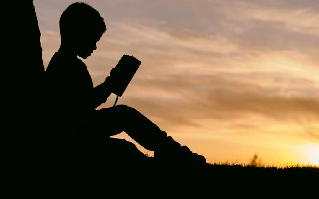 A boy reading under a tree on a sunsent