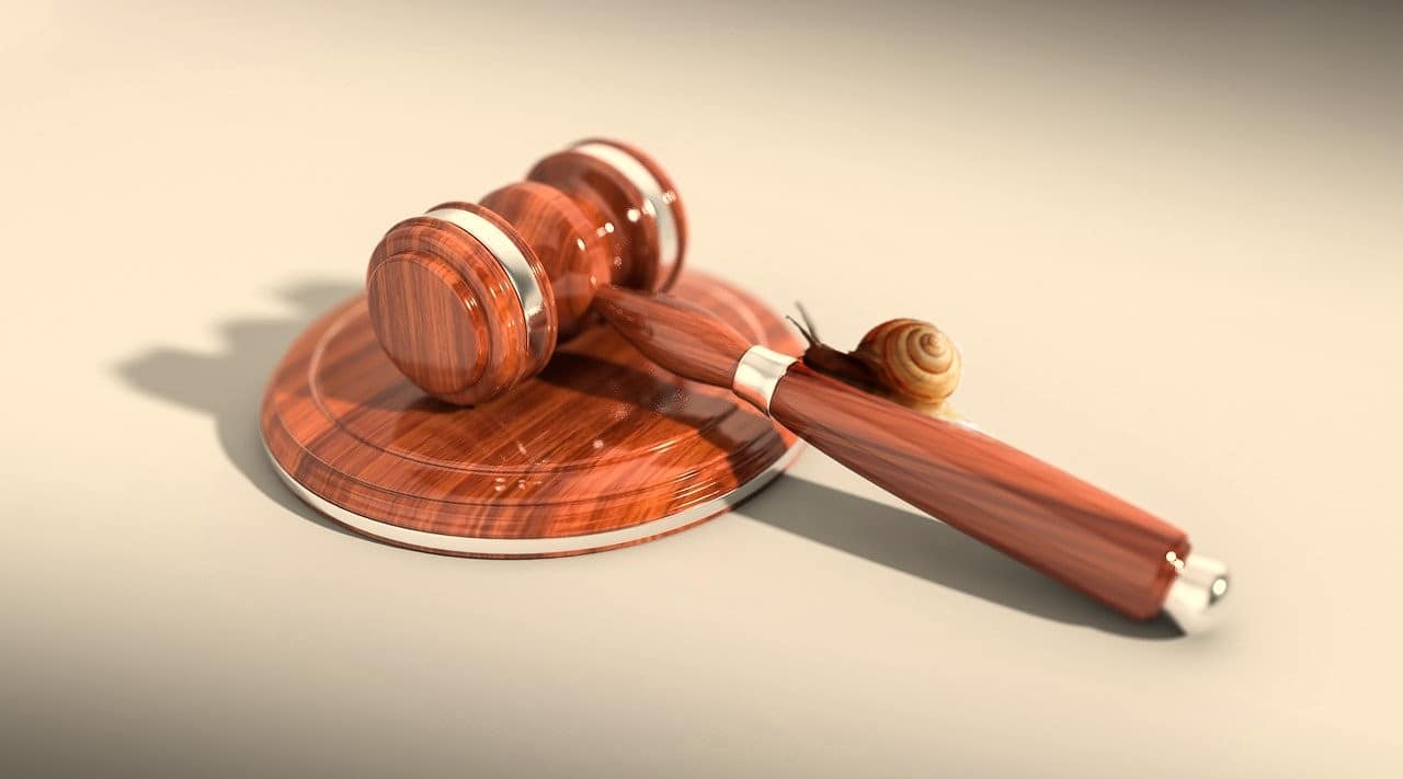 A crawling snail on a gavel