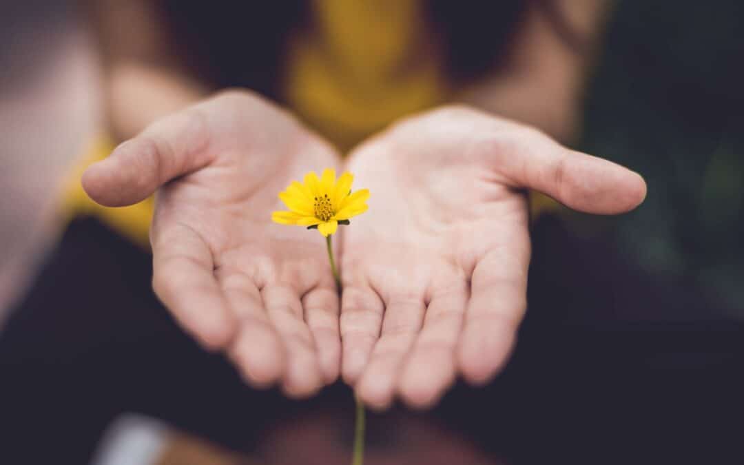 A lady with small yellow flower in her hands