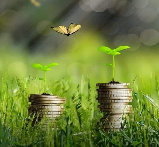 Stacks of coins with growing seedlings and butterfly flying