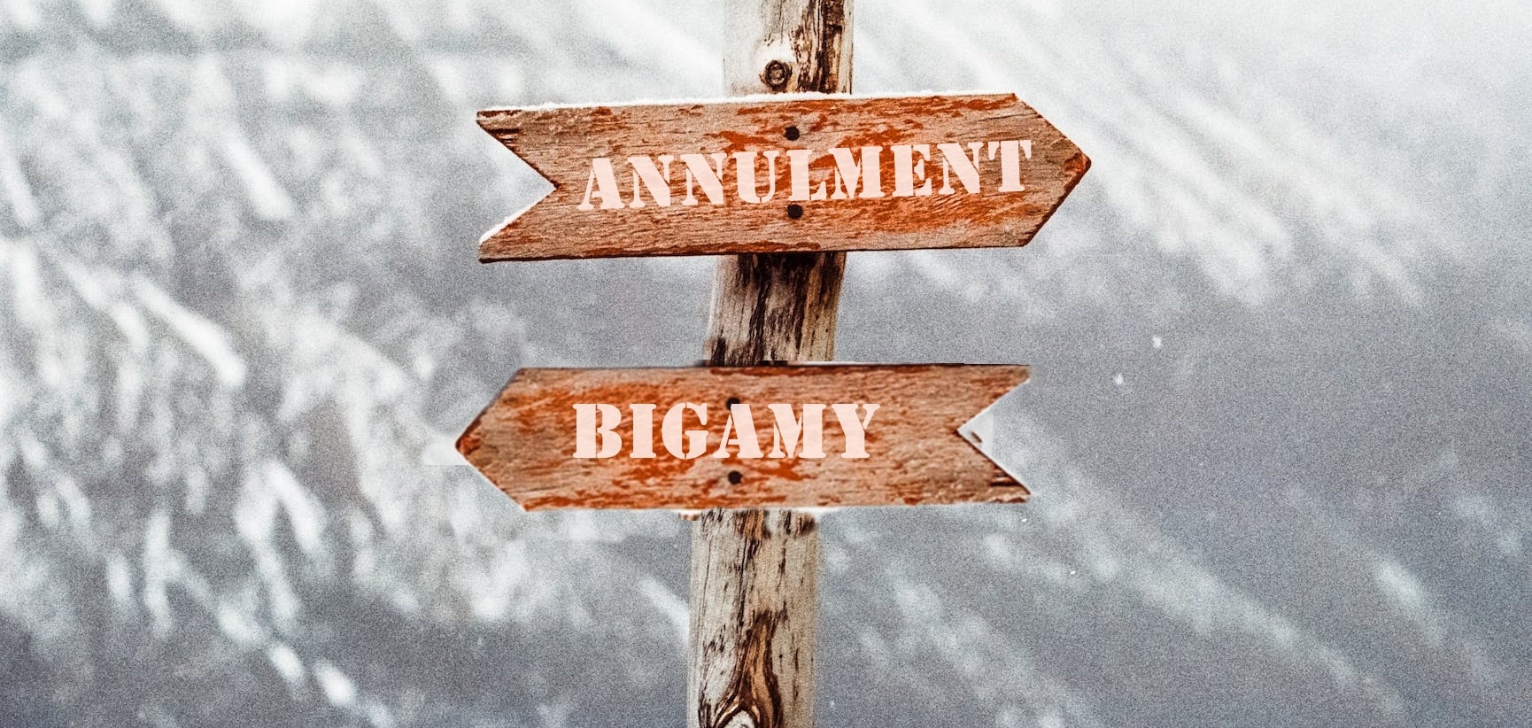 A road sign with annulment and bigamy texts