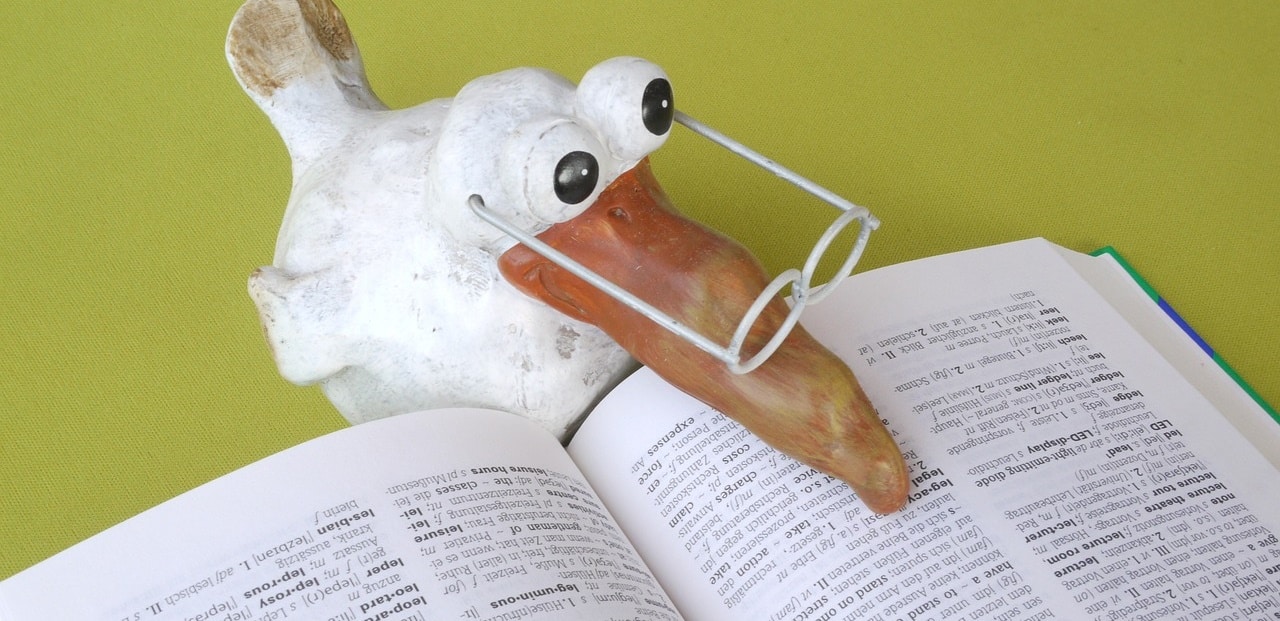 A toy bird with reading glasses reading a book