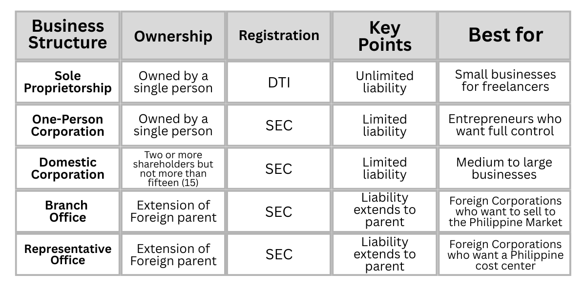 Limited liability company Philippines: Understanding the limitations and benefits of a LLC .
