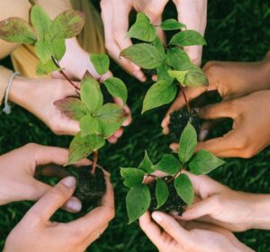 5 people collaborating in planting a tree symbolizing a non-profit organization in the Philippines