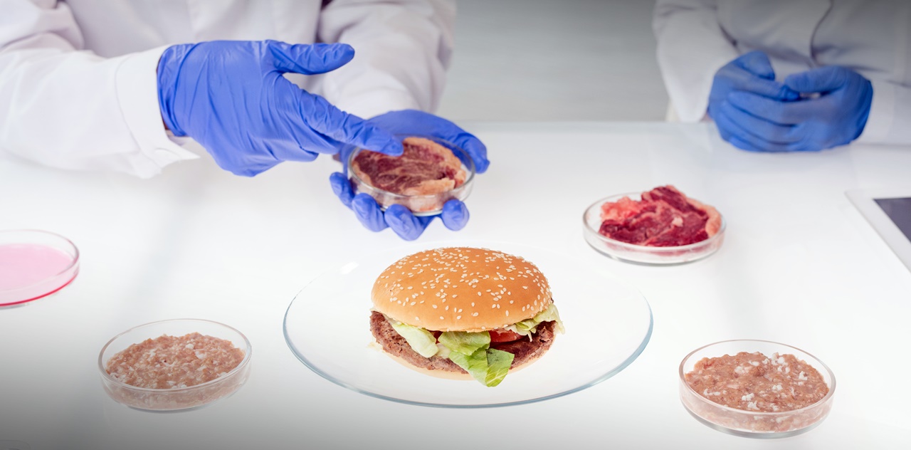 Two scientists studying a burger meat